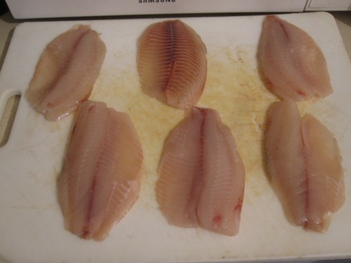 tilapia filets